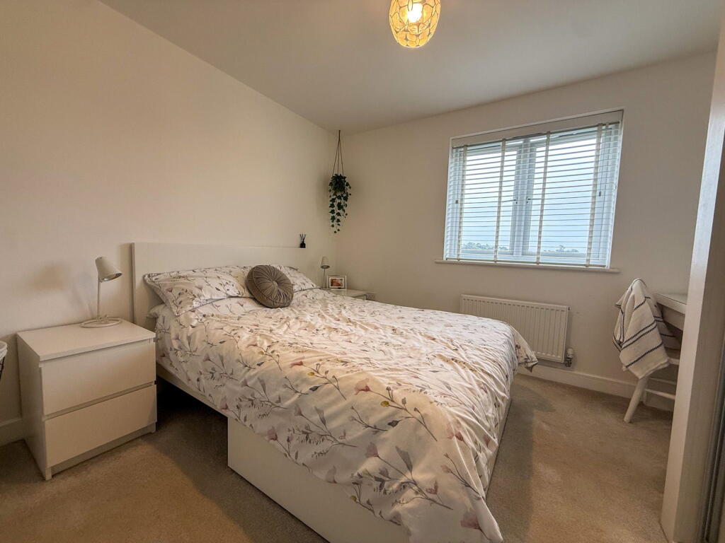 Betony Drive, Newton Abbot, Devon, TQ12 1UA photo 3
