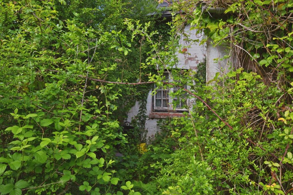 Tiley, Middlemarsh, SHERBORNE, Dorset, DT9 photo 4
