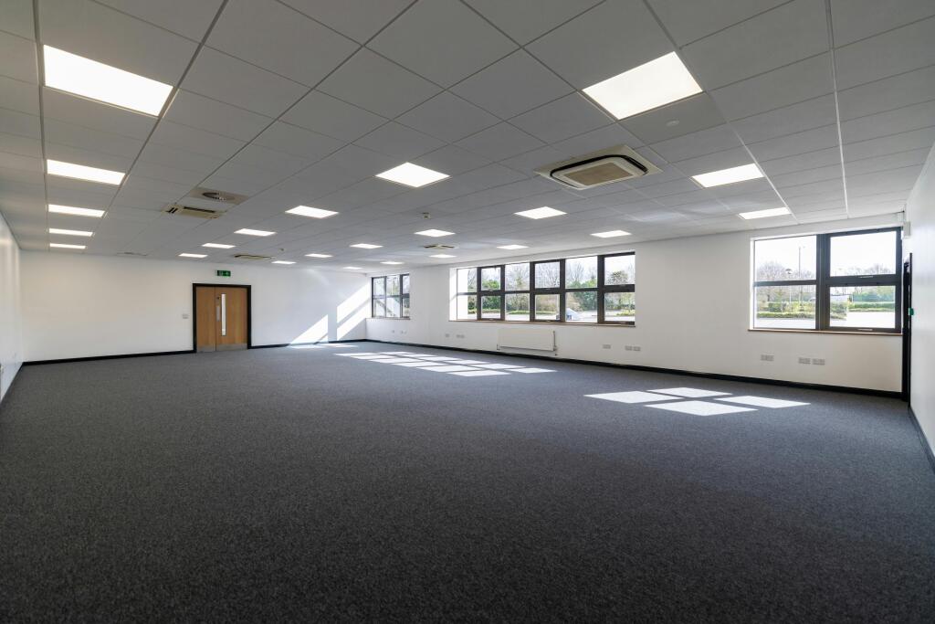 Big Swan_Image_04.jpg