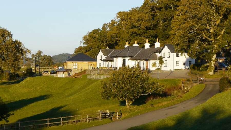 Photography by Roy Riley 2012. ..Bala..