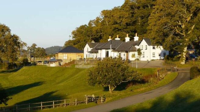Photography by Roy Riley 2012. ..Bala..