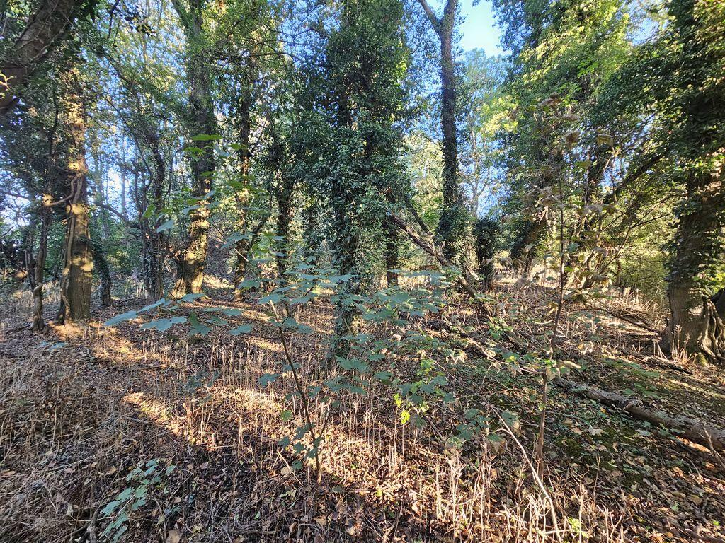 Watling Street, Lutterworth - More