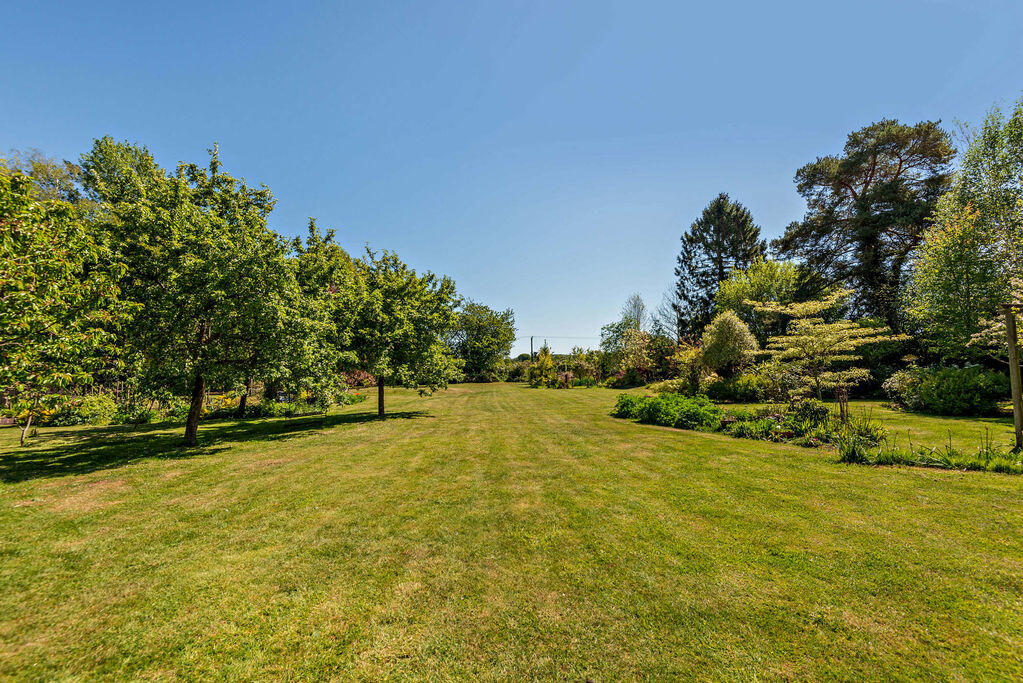 Birches Lane, Gomshall photo 4