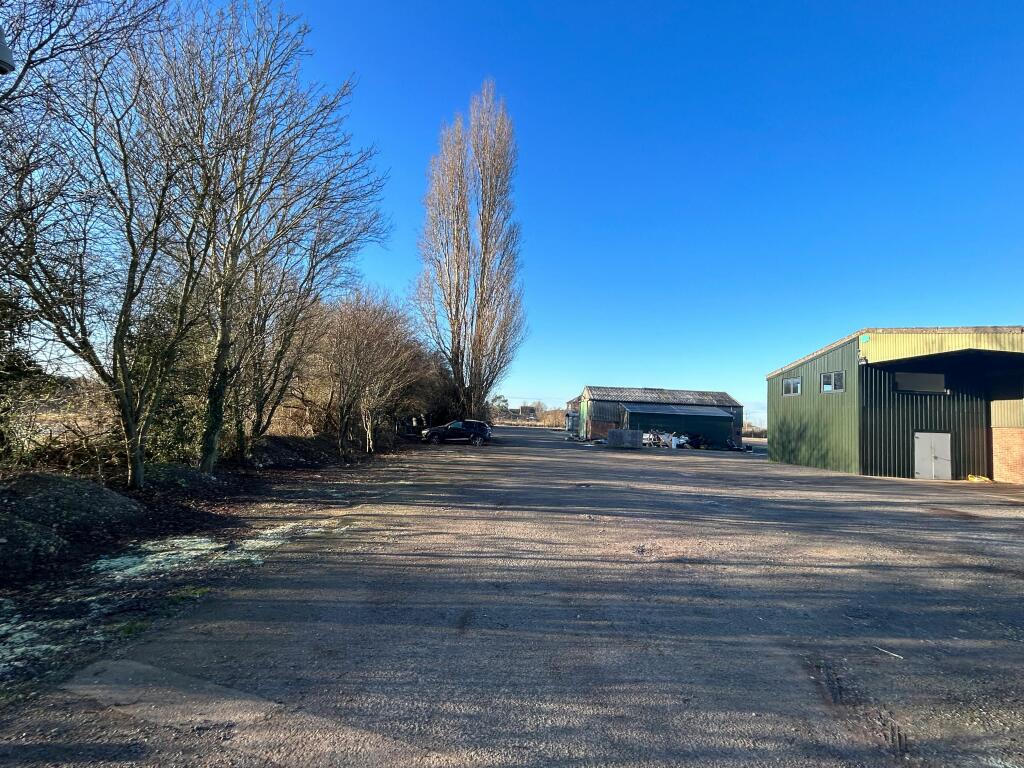 Side yard 3 5081.jpg