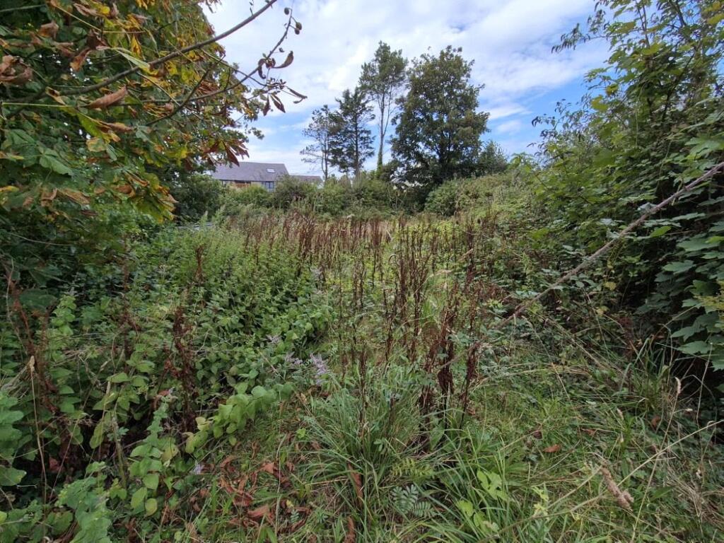 Pwll Melyn Land, Brynteg, Anglesey, LL78 - View 4