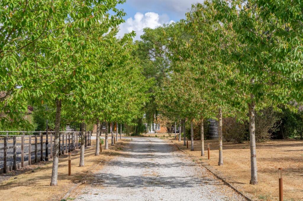 Lot 1 | Springs Farms, Westbury Lane, Purley on Thames, Reading, RG8 - View 4