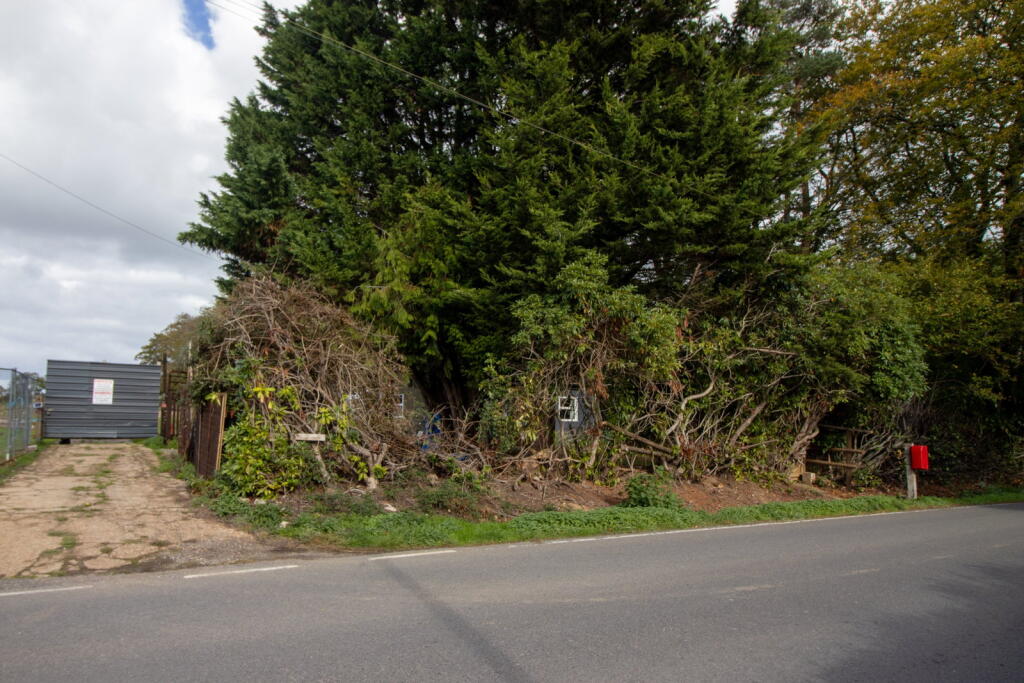 Homecot, Petersfield Road, Monkwood photo 3