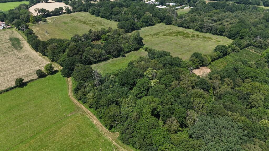 Woodland at Big Copse, Hampreston, Wimborne - Ansicht 2