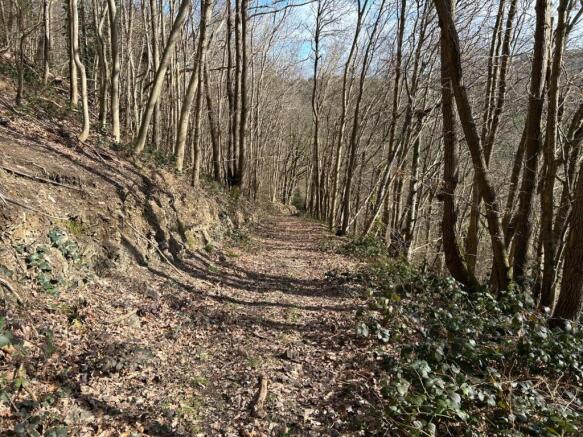 Track at Land at Manafon-Gaenog (002).jpeg
