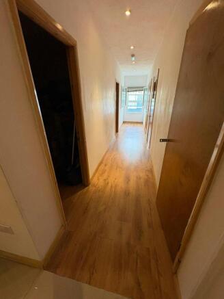 p6.jpg