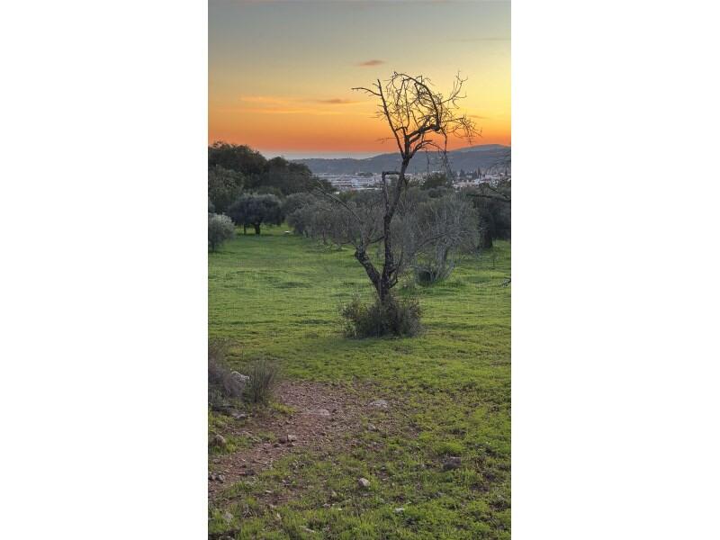Main image of property: Algarve, São Brás de Alportel