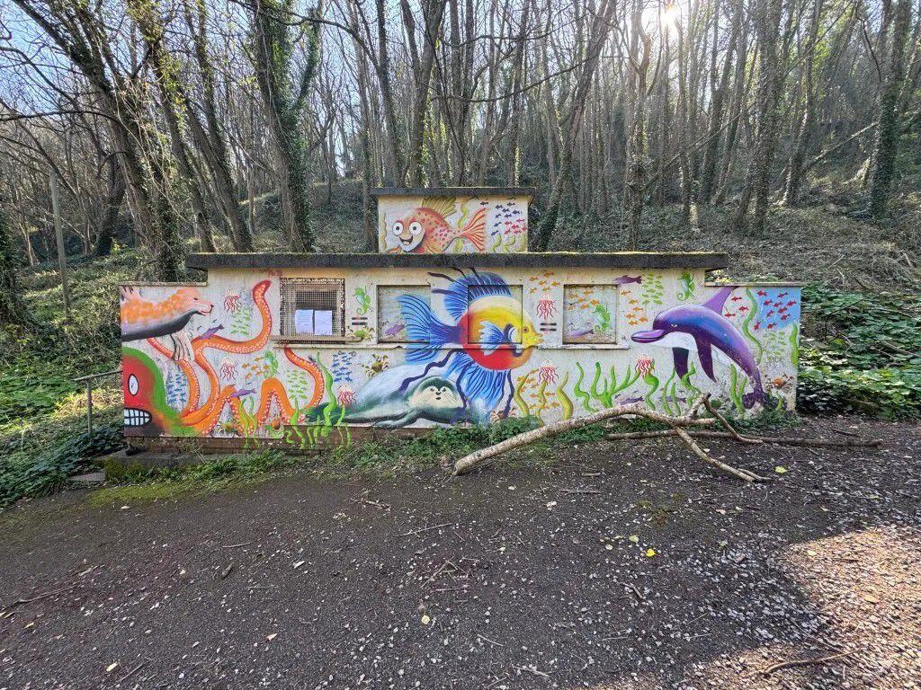 Main image of property: Torquay