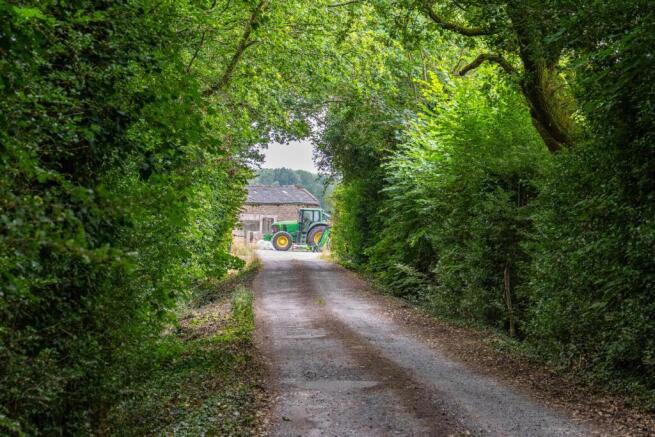 Entrance Road
