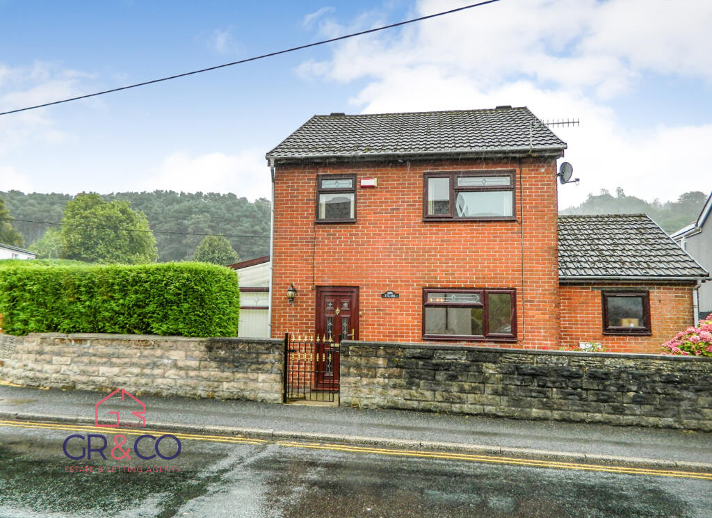 House in Tredegar, Georgetown - View 2