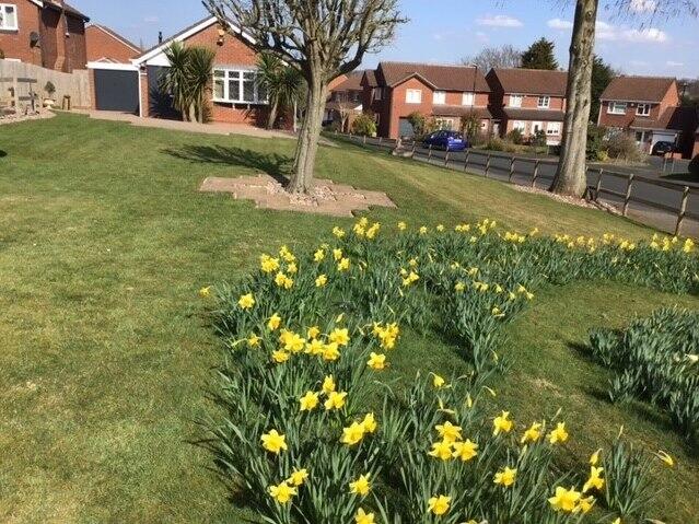 Additional image 9 of Foxford Close, Wylde Green, Sutton Coldfield, B72