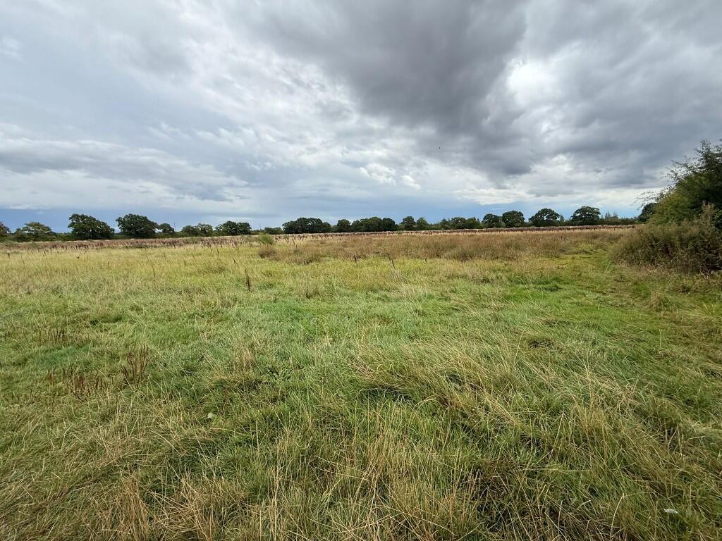 18.27 Acres (7.39 Hectares) Land Off East Lane, Shipton By Benningbrough, York - View 3