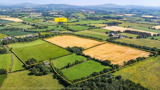 Main image of property: Lisnavagh, Co Carlow