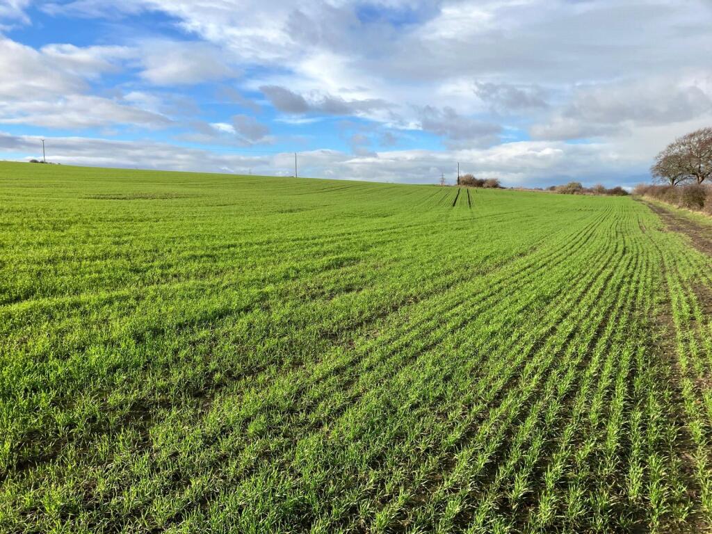 Main image of property: Land At Usworth House Farm, Springwell, Gateshead, Tyne and Wear, NE9