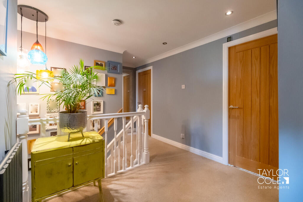 Additional image 23 of Shannon, Belgrave