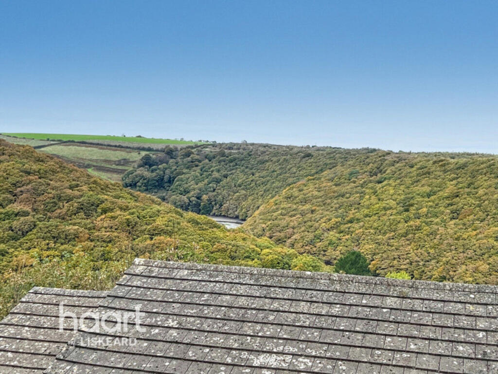 Lower Goonrea, Looe photo 2