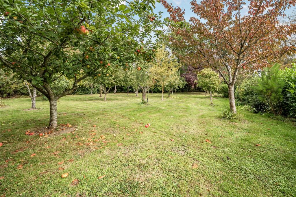 Hall Lane, Rushall, Diss, Norfolk, IP21 photo 4