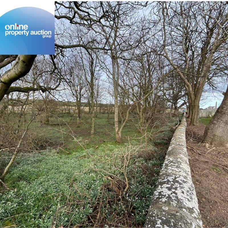 Tyrie Church Woodland, Fraserburgh, AB43 7DL - View 5