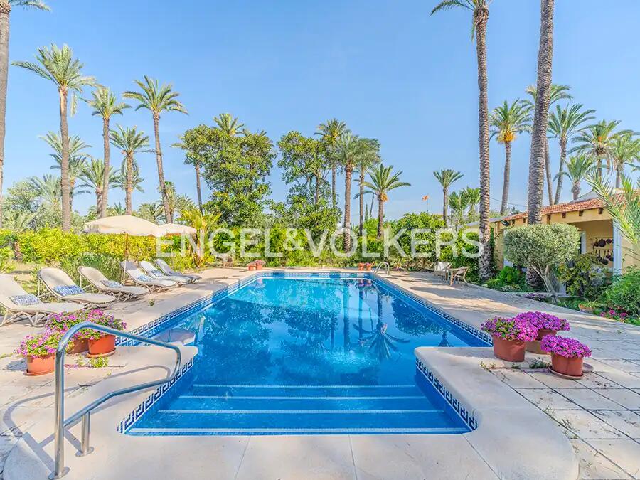 Main image of property: Valencia, Alicante, Elche
