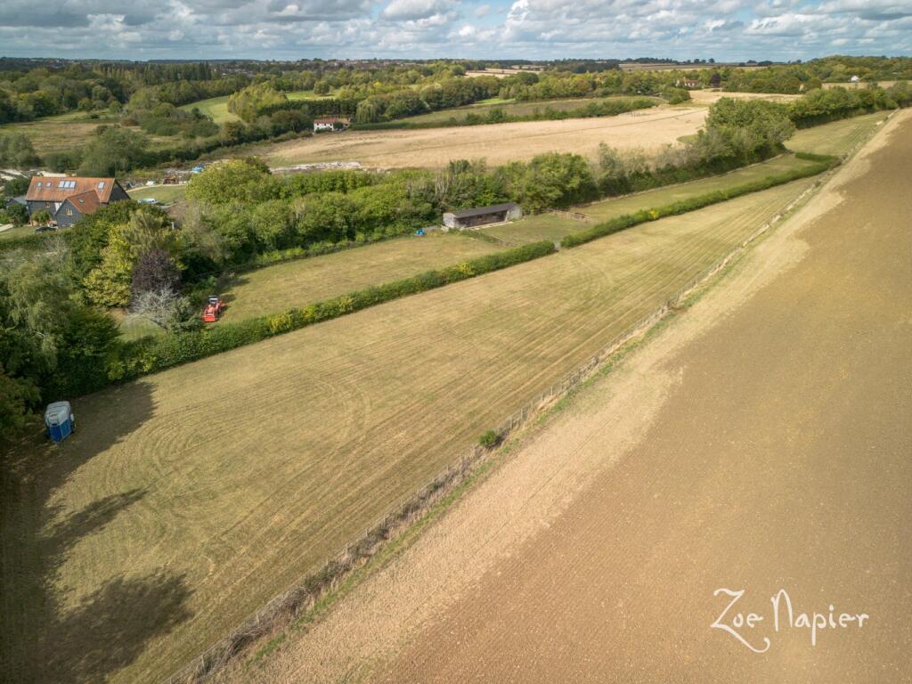 Sturmer photo 4