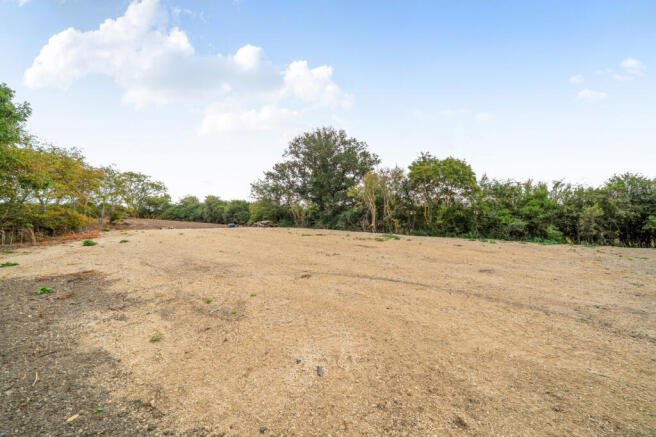 Field