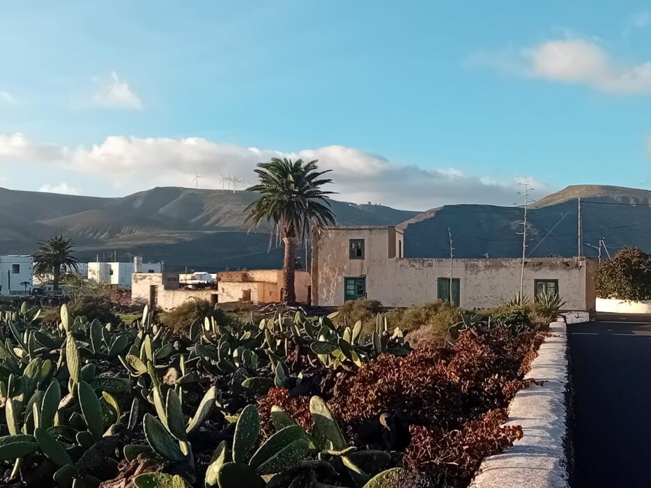 Main image of property: Canary Islands, Lanzarote, Guatiza