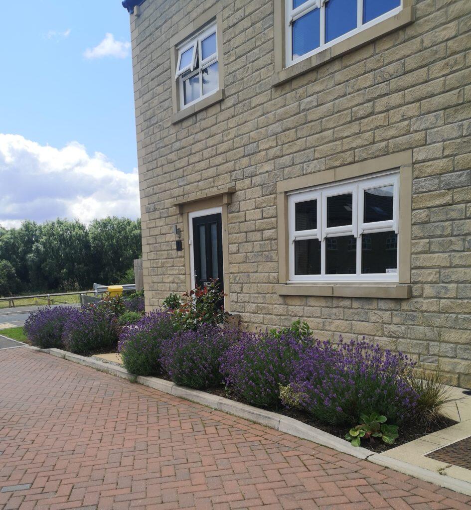 4 bedroom detached house for sale – 1 Lawnwood Avenue, Skipton, BD23 2FE photo 3