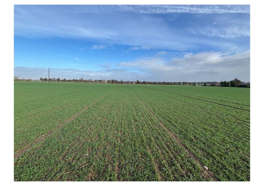 Main image of property: Hylands Field, Porters Lane