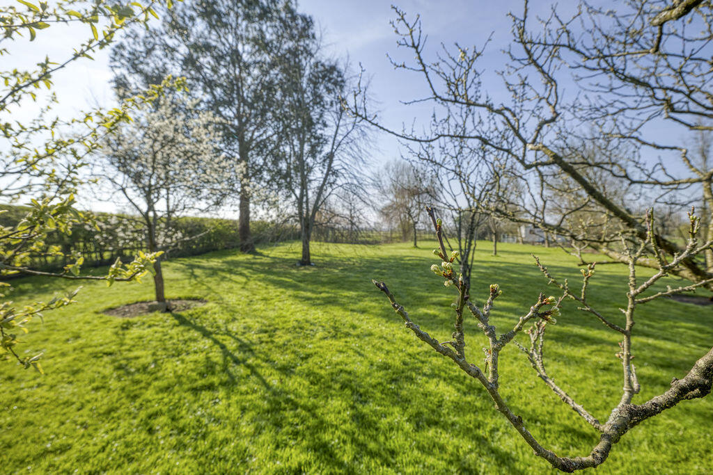 Additional image 41 of Charming 18th-century character property with beautiful gardens, orchard and characterful outbuildings