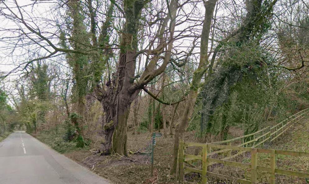 Main image of property: Land to the north west of Limekiln Farm, Ranmore Common, Dorking, Surrey, RH5 6SS