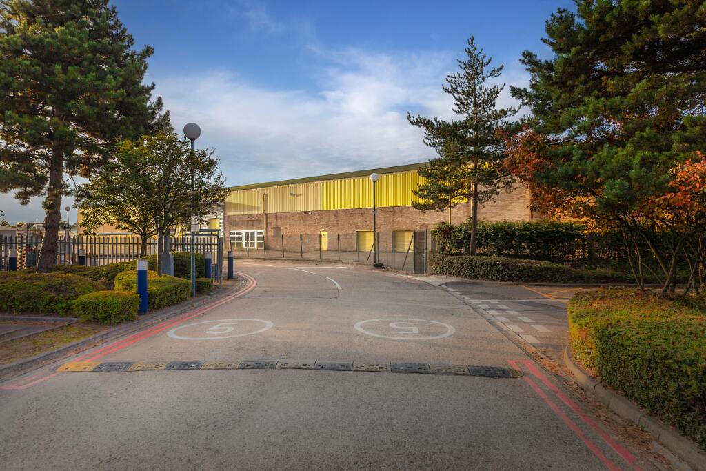 2025- 62 Whitby Road - STE - 220046.jpg