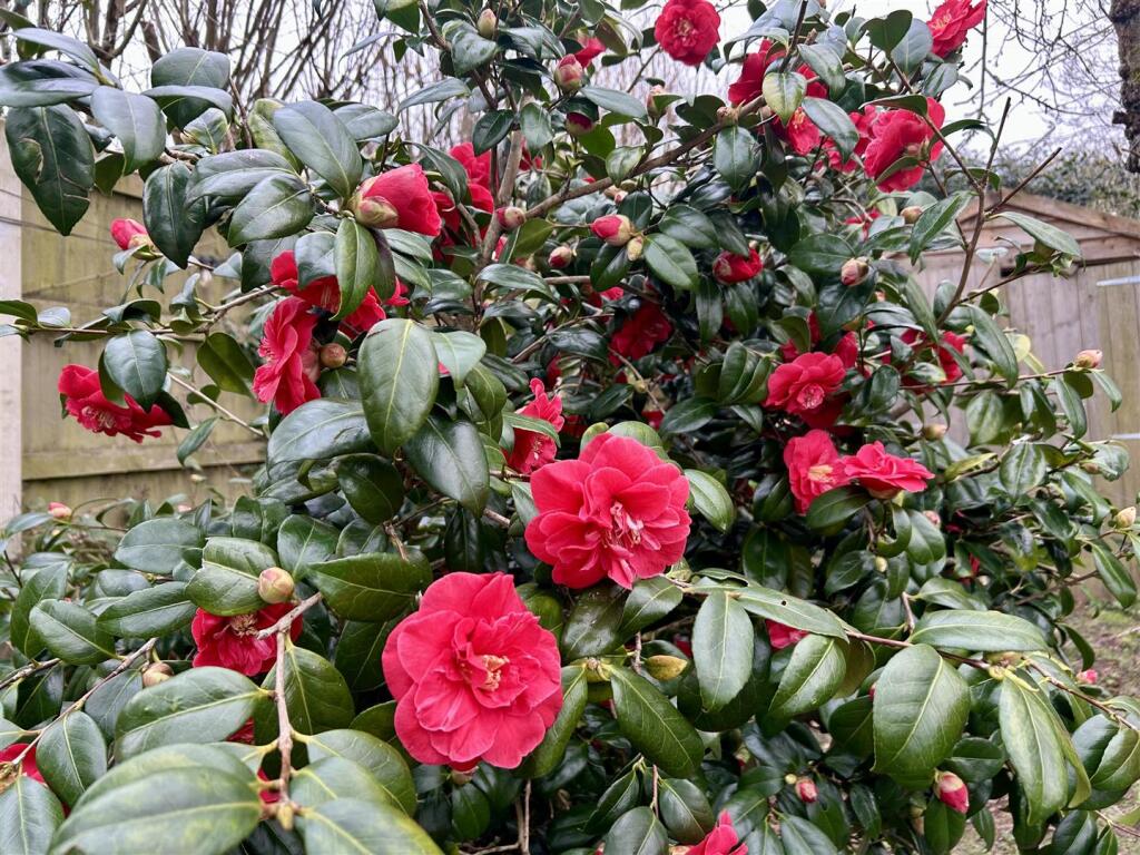 Additional image 24 of Bromsgrove Road, Romsley, Halesowen