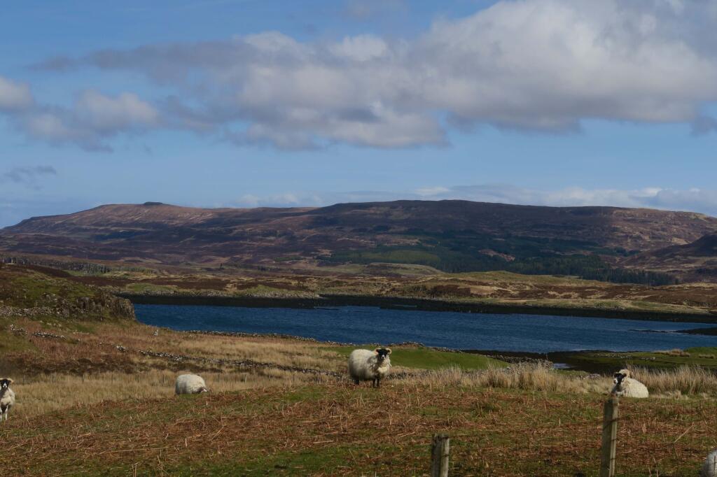 Main image of property: Skinidin, Dunvegan, Isle of Skye IV55 8ZS