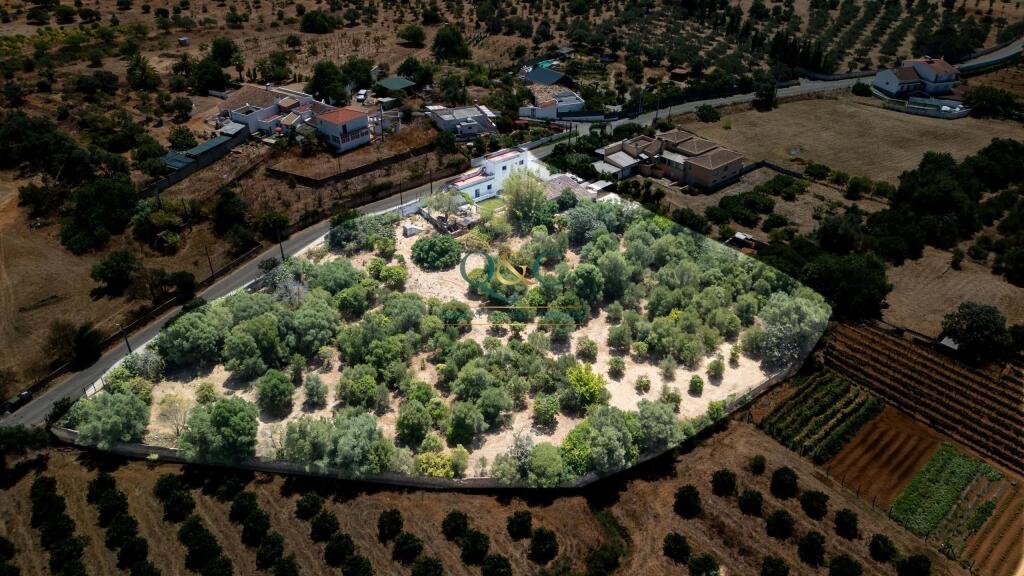 Main image of property: Algarve, Moncarapacho