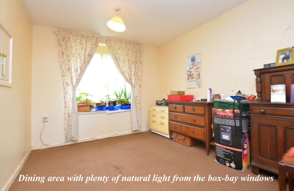 Charlock, King's Lynn photo 2