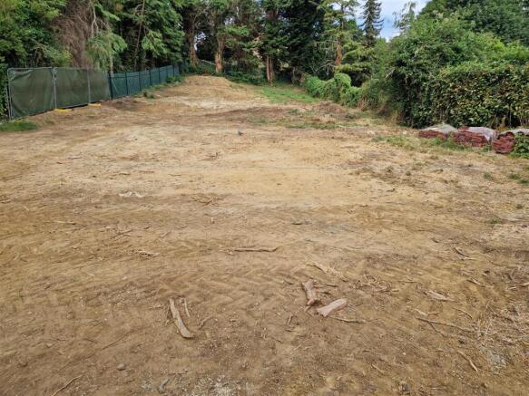 Looking West from bottom of the plot.jpg