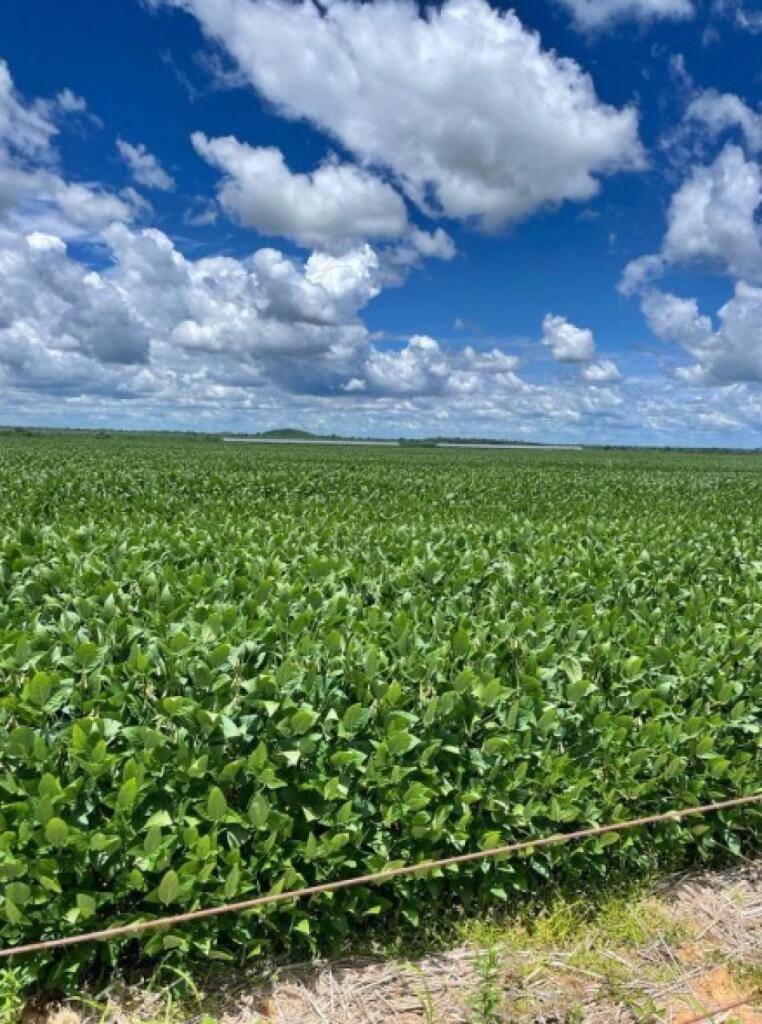 Main image of property: Mato Grosso, Barra do Garças