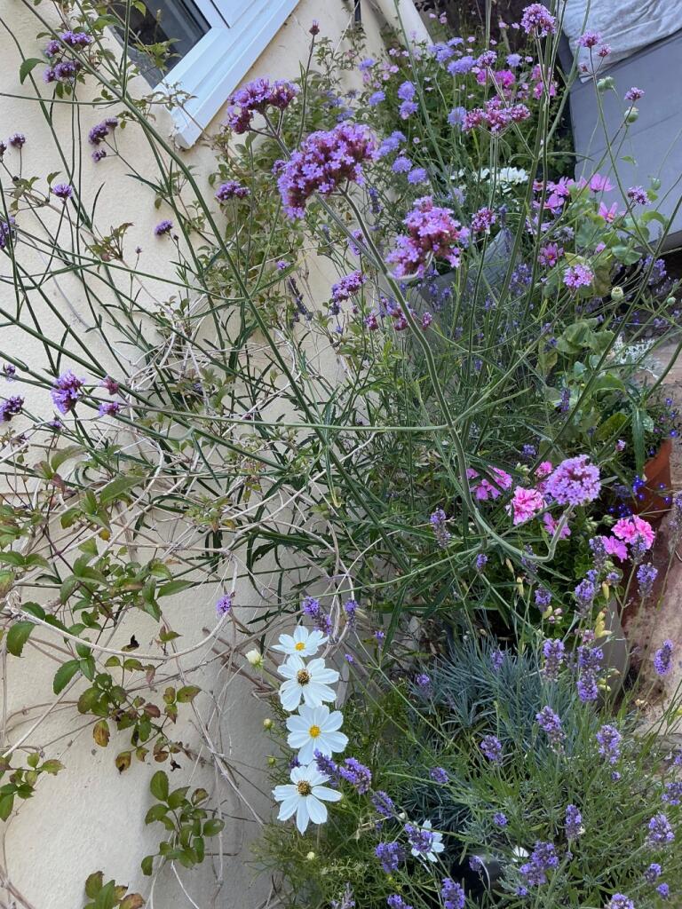 Additional image 17 of Station Road, Castle Cary, Somerset, BA7