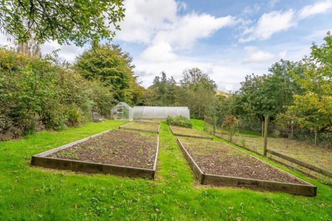 Vegetable plot, orchard, polytunnel and chicken coop and run