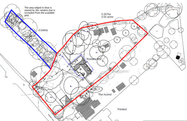 site plan cleaned