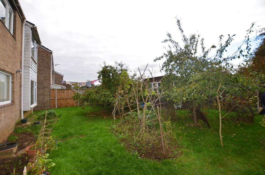 Charlock, King's Lynn photo 3