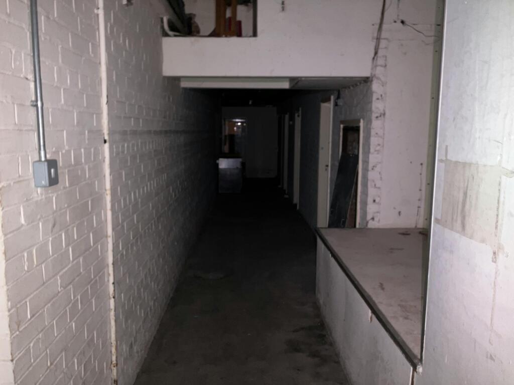 IMG_0521.jpeg
