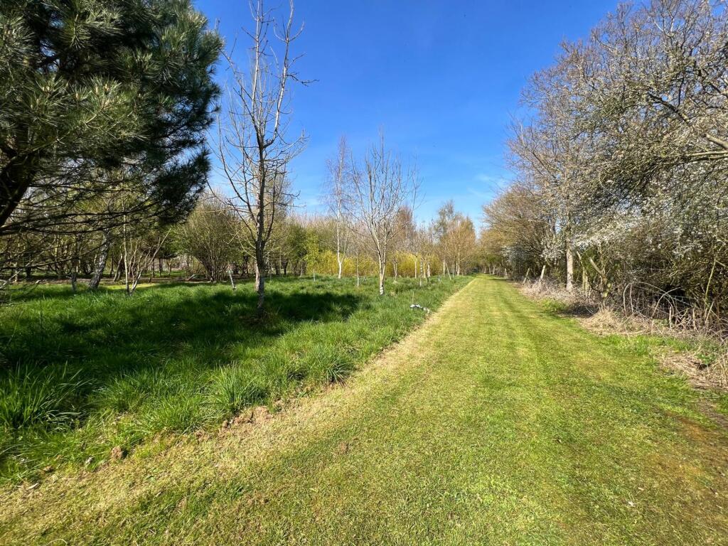 Hinton Road, Darsham, IP17 photo 5
