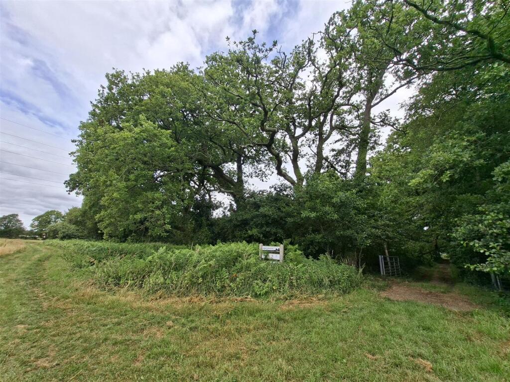 Woodland at Big Copse, Hampreston, Wimborne - Ansicht 5