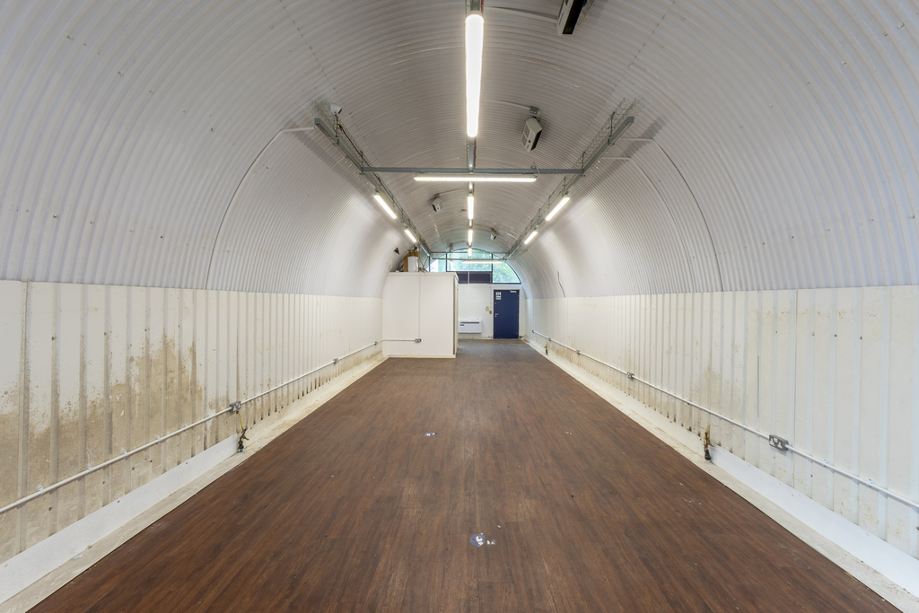 An empty arch with white lining