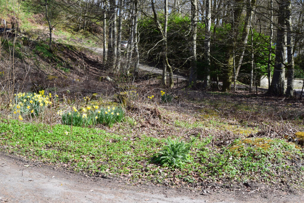 Main image of property: Plot of Land, Bridge Of Cally, Blairgowrie, PH10